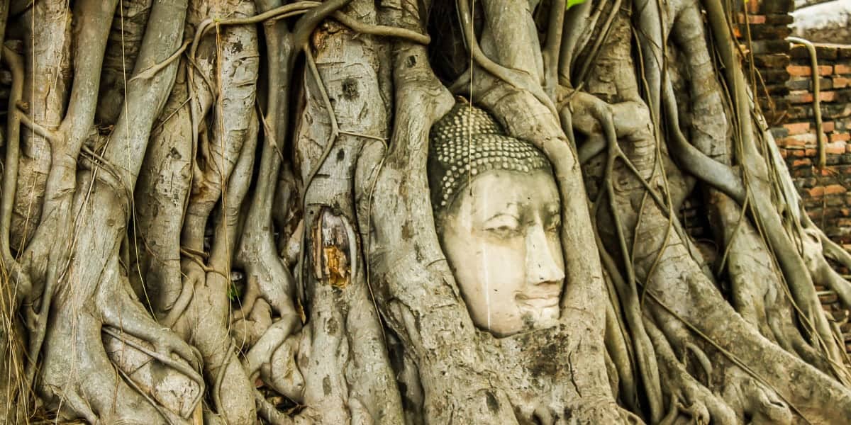 o que fazer em Ayutthaya roteiro um dia em Ayutthaya
