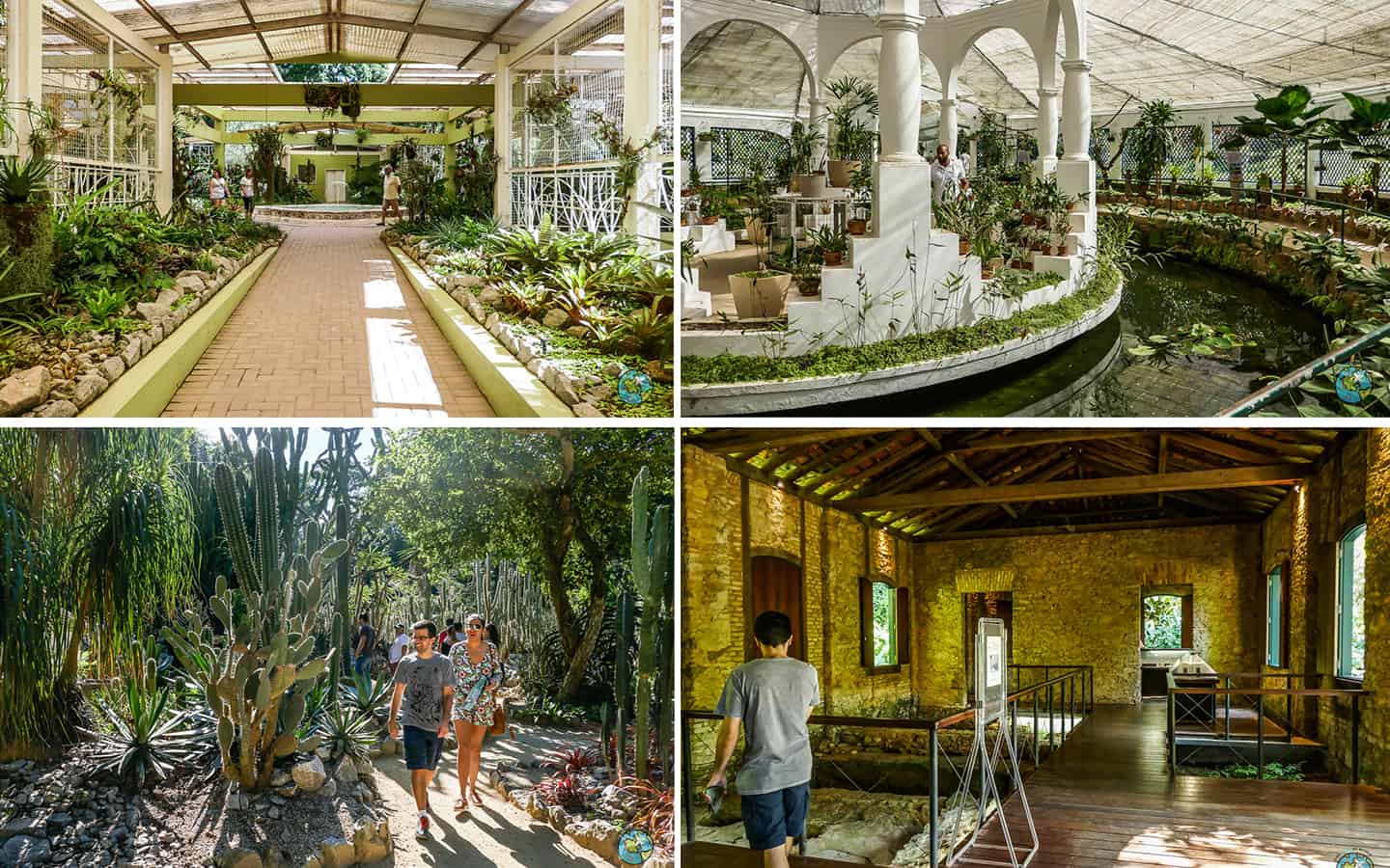 jardim botanico rj