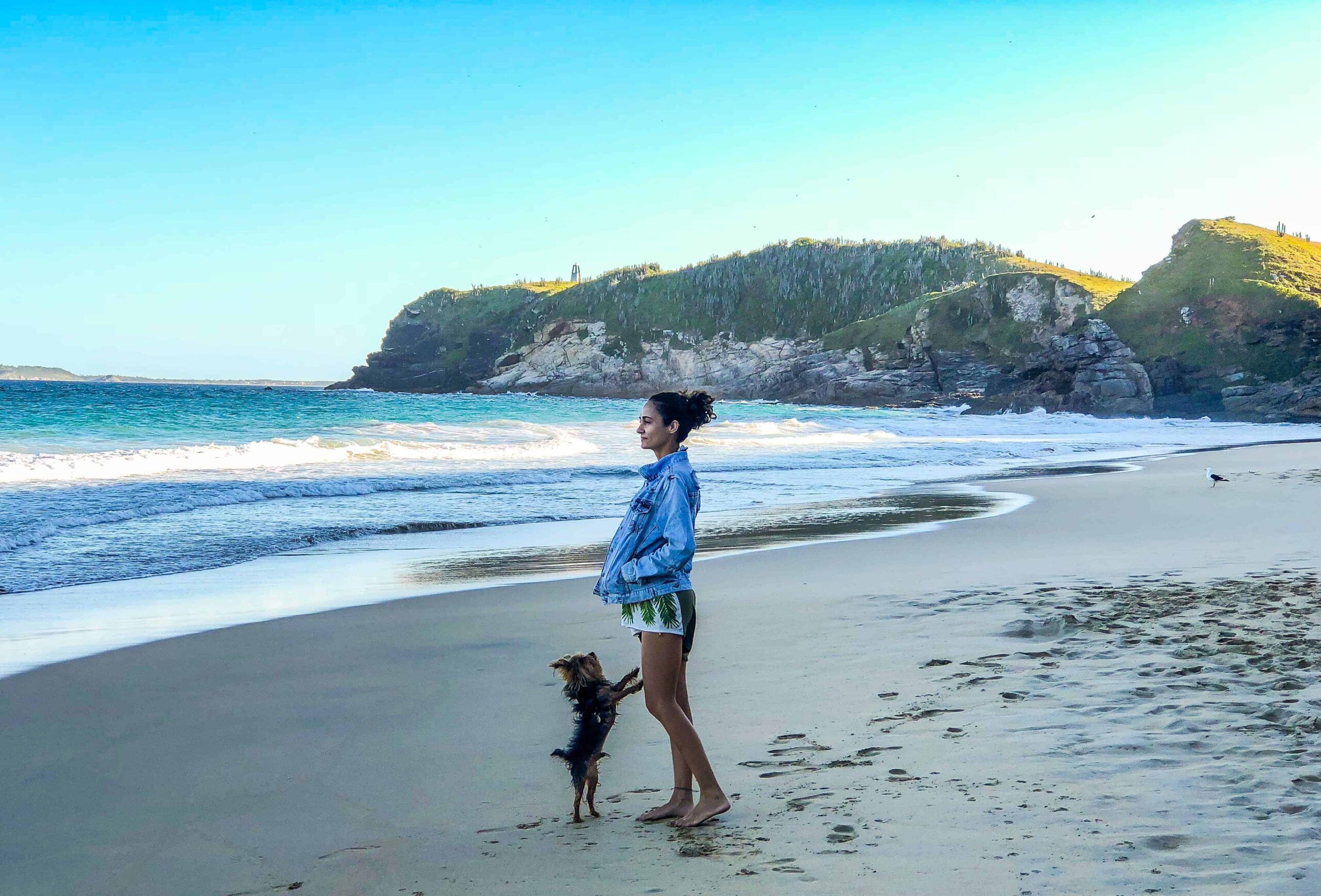 Praia Brava