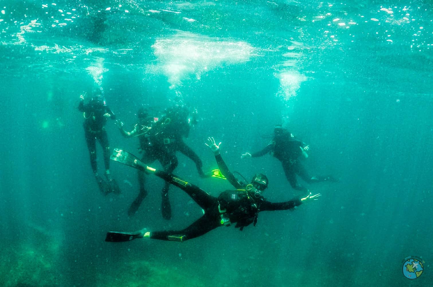 Mergulho na Ilha Rasa Rio de Janeiro