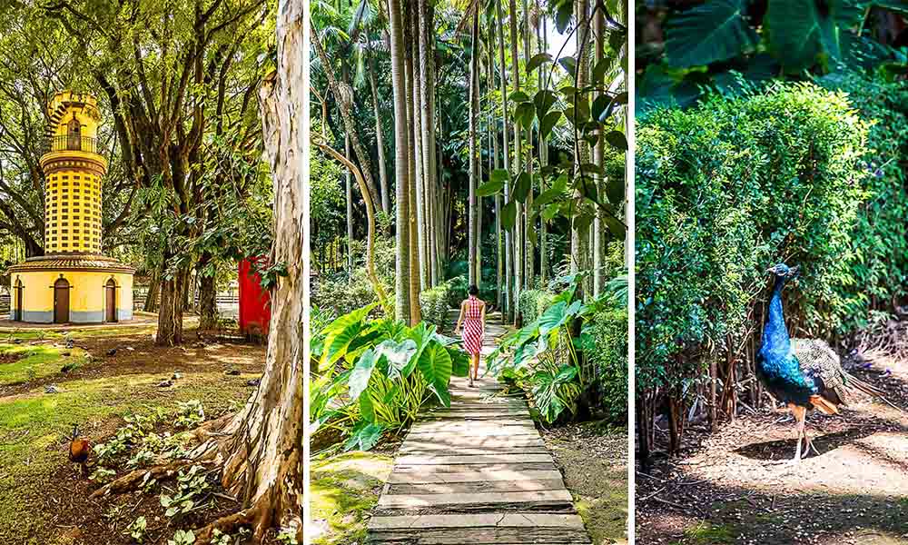 Parques em São Paulo
