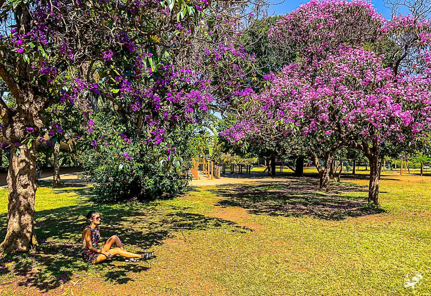 parques são paulo