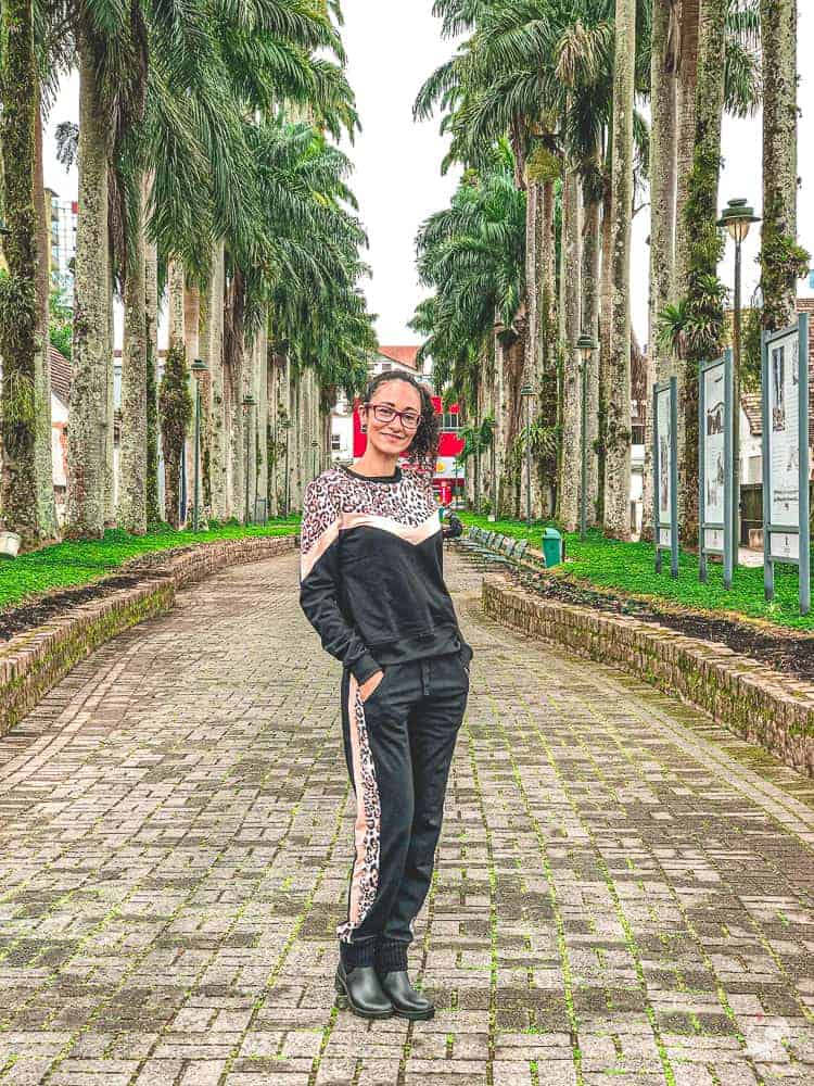 o que fazer em joinville