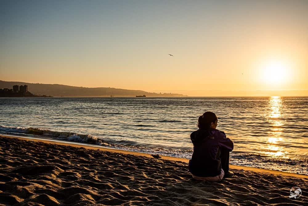 o que fazer em Vinã del mar