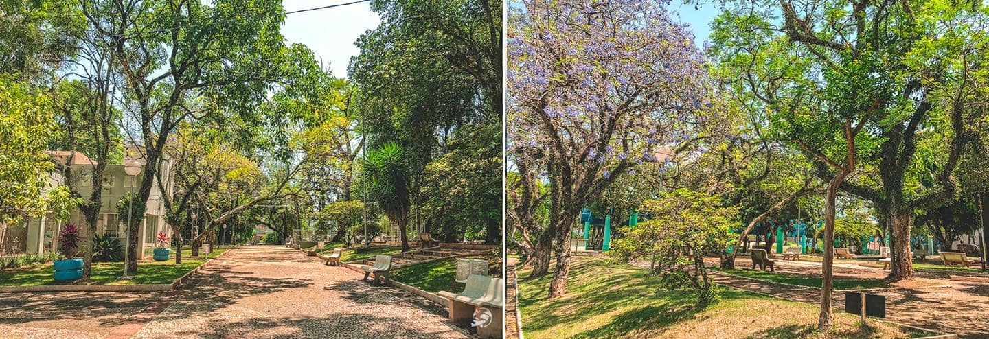 o que fazer em são miguel do oeste sc (2)
