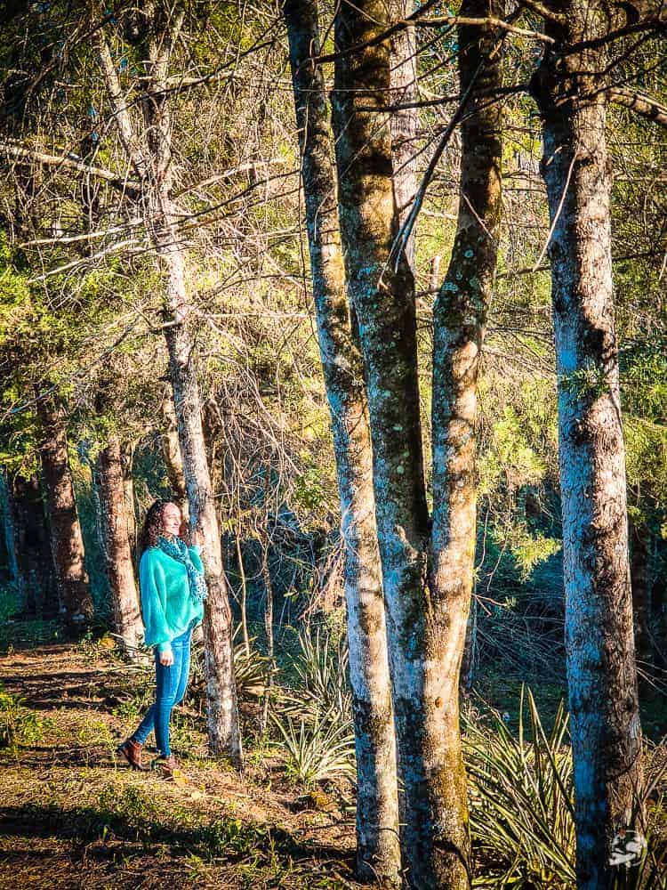 o que fazer em são miguel do oeste sc (2)