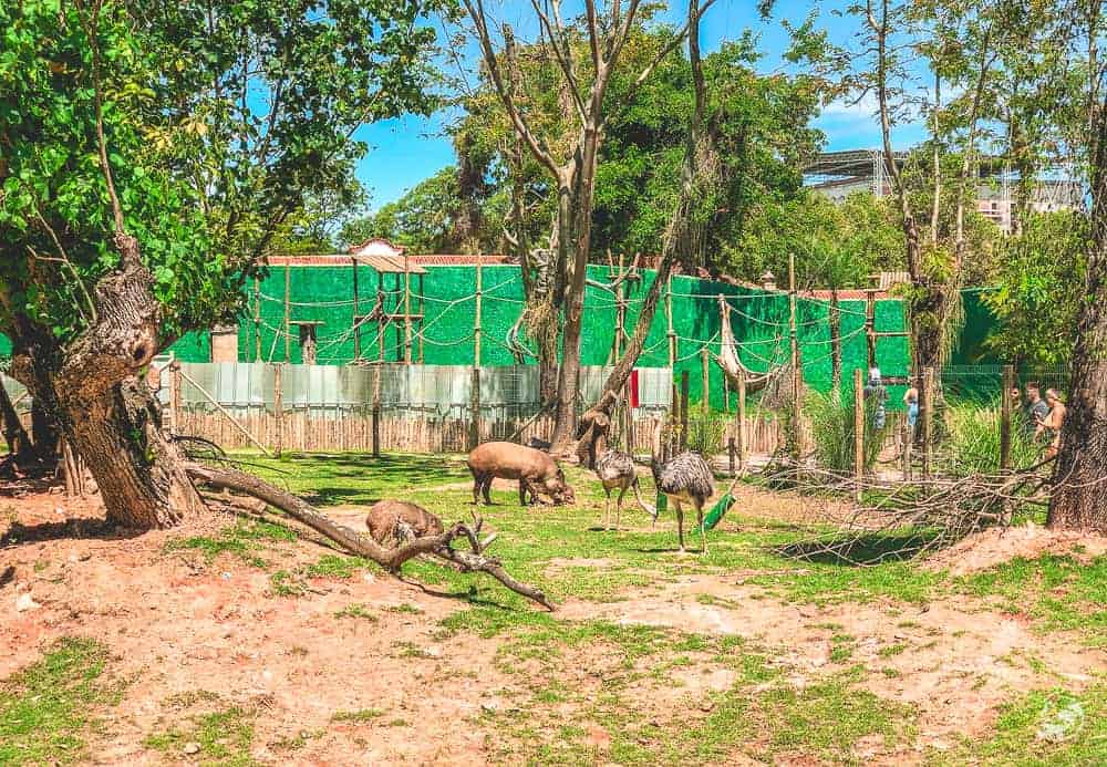 Bioparque Rio de Janeiro