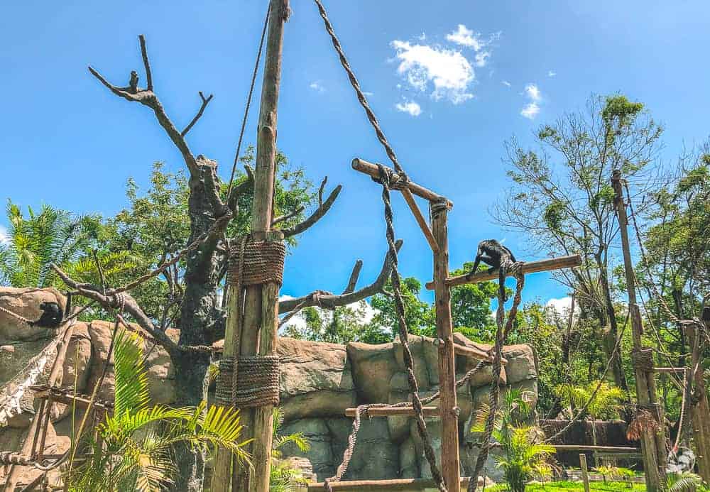 Bioparque Rio de Janeiro