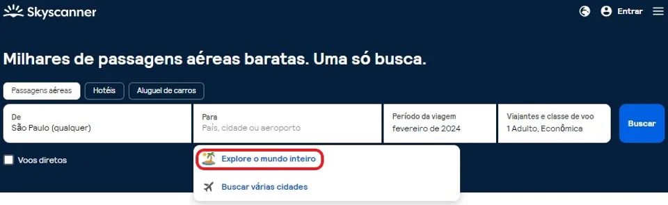 Usando o site Skyscanner