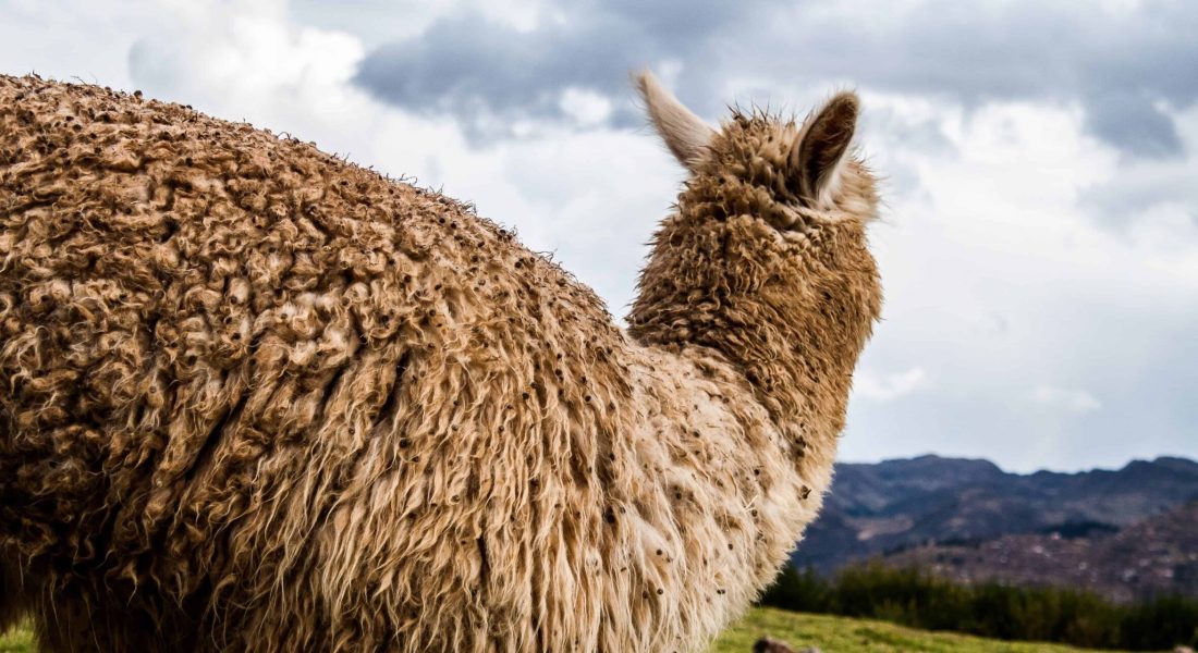 guia de viagem para o Peru Tudo sobre o Peru