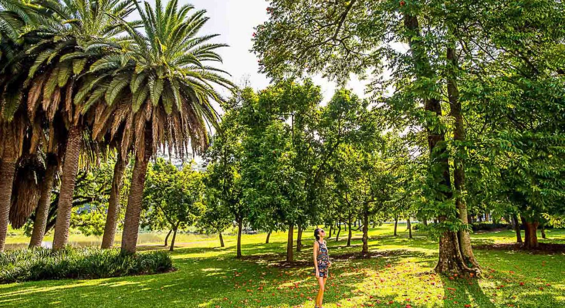 parques são paulo