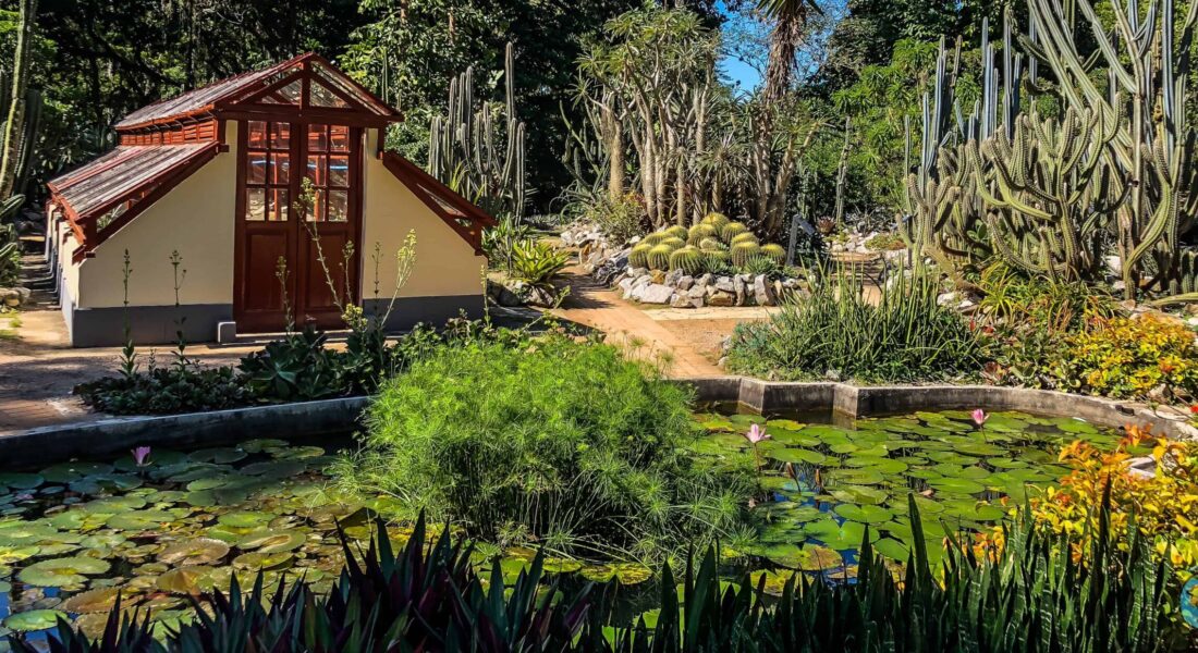 Jardim Botânico do Rio de Janeiro O que fazer no Jardim Botânico