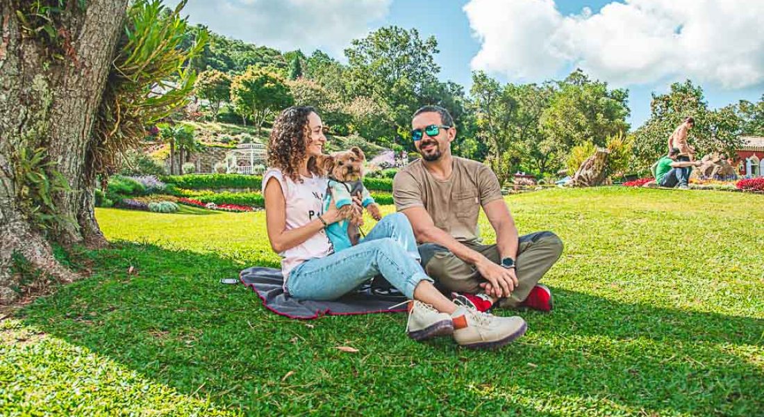 Destinos pet friendly no brasil viajar com cachorro
