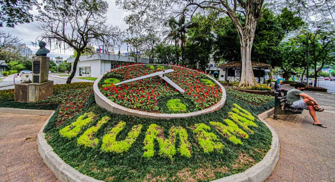 Relógio de Flores